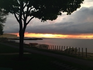 photo 2_2